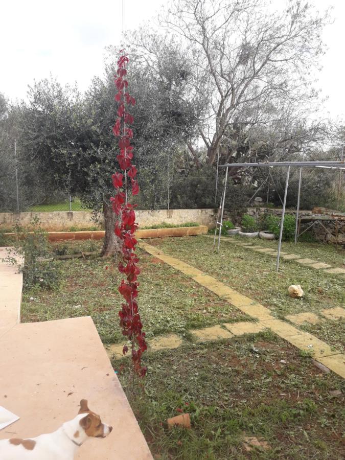 Microborgopasca Panzió Sannicola Kültér fotó